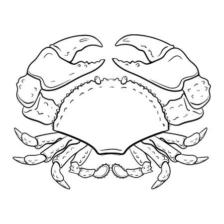 Krab kolorowanki